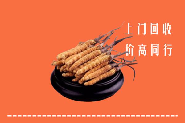 高价求购：长春市宽城回收散虫草