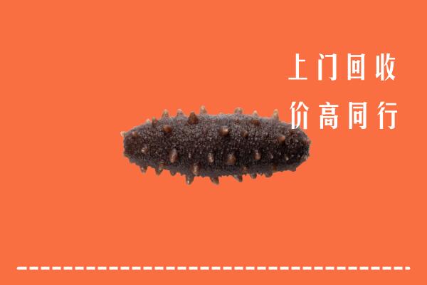 高价求购：长春市宽城回收海参
