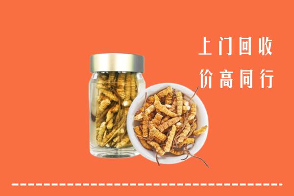 长春市宽城回收冬虫夏草